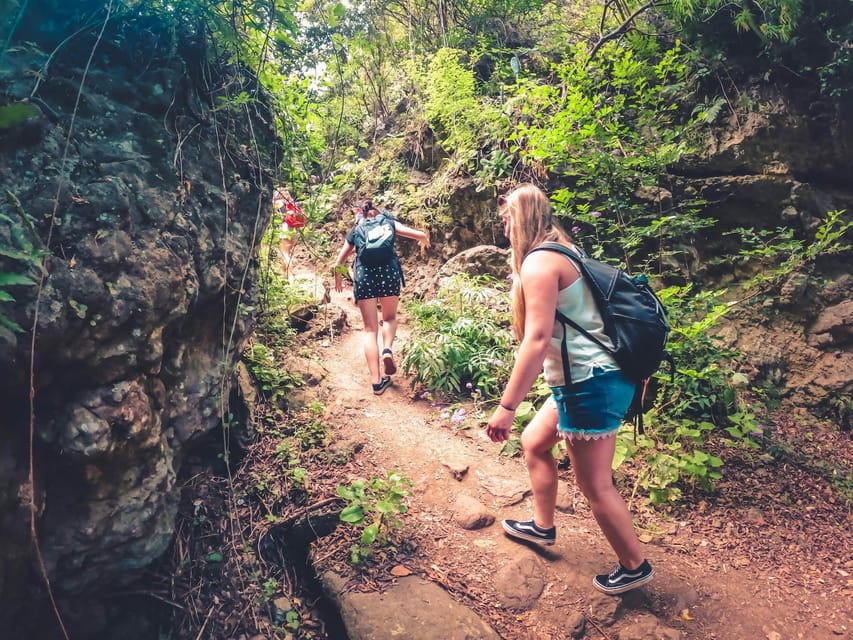 Gran Canaria: Guided Day Tour to Rainforest with Tasting - Key highlights you should care about