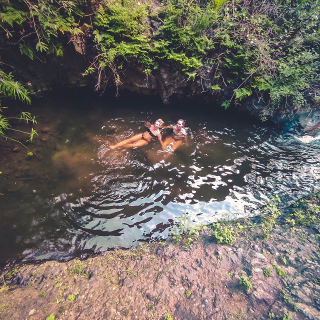 Gran Canaria: Guided Day Tour to Rainforest with Tasting - The people part: guides, small groups, and why it feels personal
