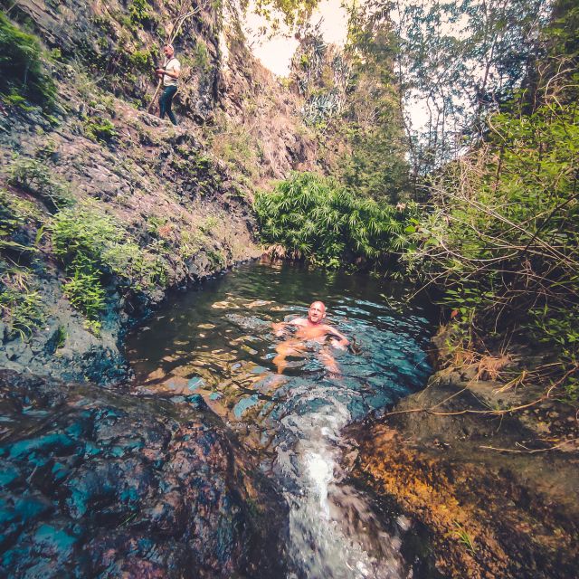 Gran Canaria: Guided Day Tour to Rainforest with Tasting - Price and value: is $105 actually fair for what you get?