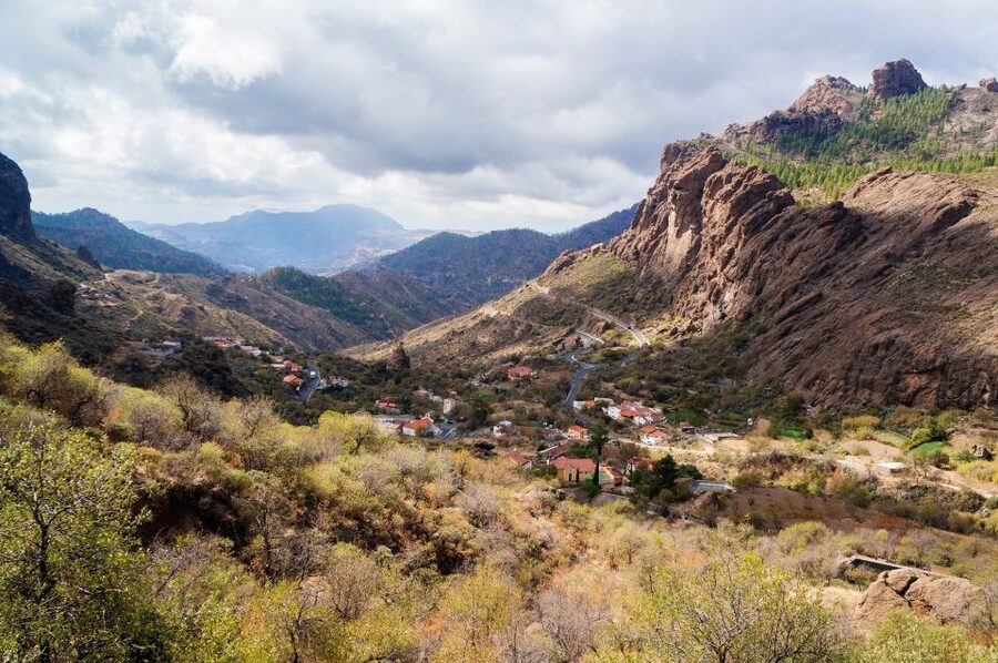 Gran Canaria Highlights Full-Day Tour by Bus - Price and value: why this feels like a bargain, with one honest catch