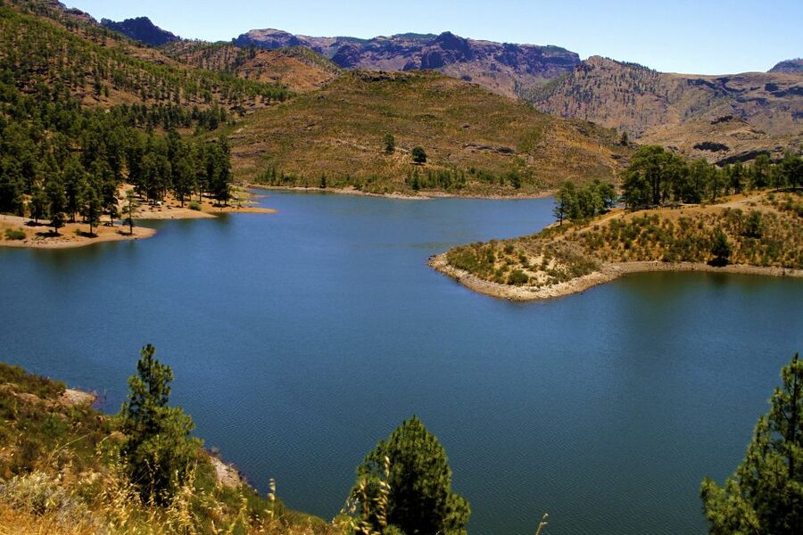 Gran Canaria Highlights Full-Day Tour by Bus - Arucas: a guided look at town life, plus quick freedom to roam