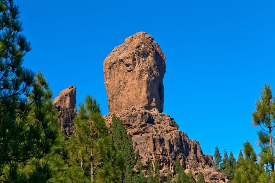 Gran Canaria Highlights Full-Day Tour by Bus - Transportation and the role of the guide, especially in multiple languages