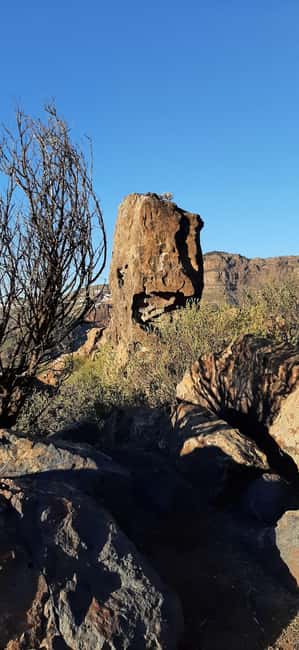 Gran Canaria: Highlights & hidden gems with Sky Rebels - A photo stop style that keeps the day from feeling rushed