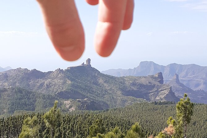 Gran Canaria Highlights Private Tour VIP - Why this VIP inland day feels different from the usual Gran Canaria plan