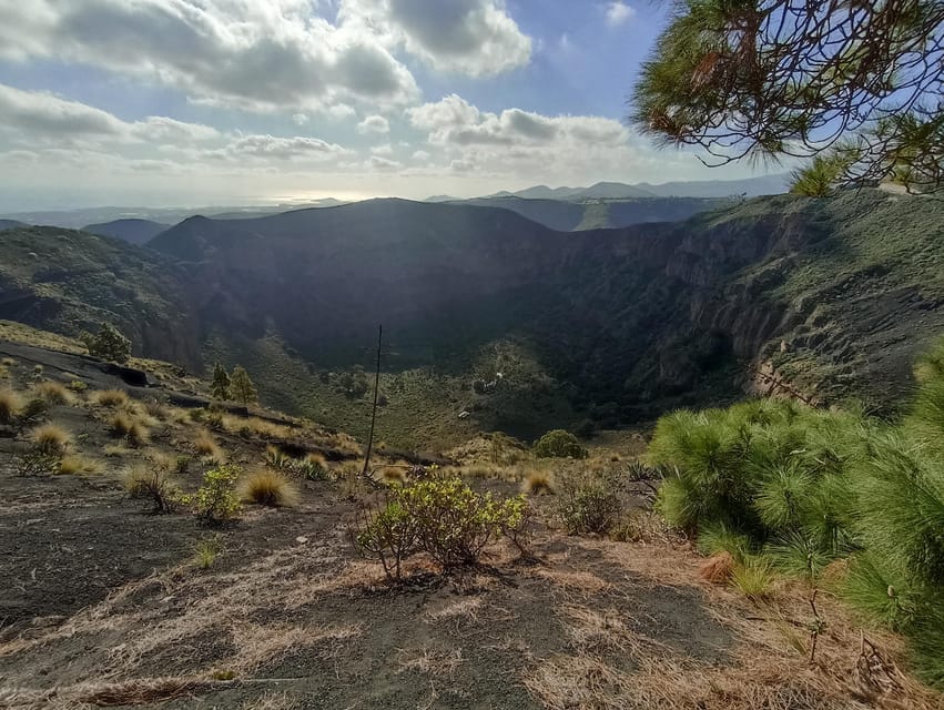 Gran Canaria: Highlights Wine Tasting Tour & shore excursion - Getting oriented fast in Las Palmas, then leaving room for wine