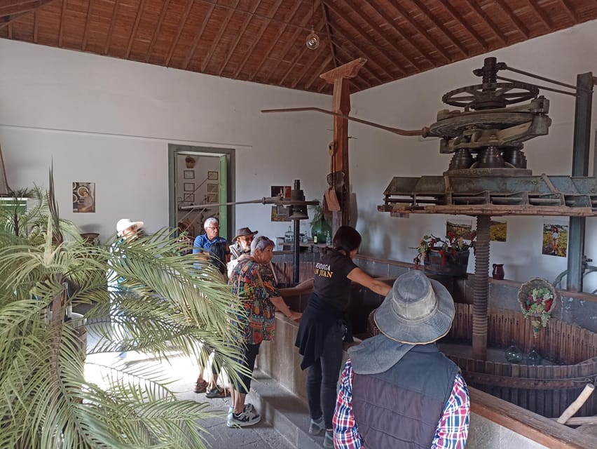 Gran Canaria: Highlights Wine Tasting Tour & shore excursion - Winery visit and wine tasting: the value is in the time