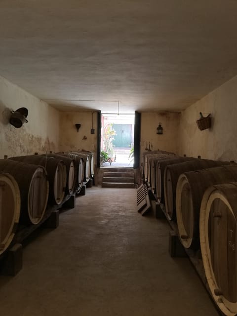 Gran Canaria: Highlights Wine Tasting Tour & shore excursion - The 4.5-hour format: best for a taste of the island, not an all-day deep plan