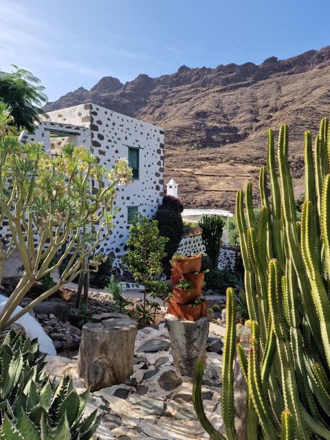Gran Canaria historical house with mango plantation in Mogan - Who this tour is best for, and who should skip it