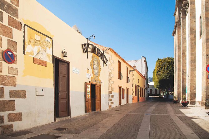 Gran Canaria Historical Tour - Jardin Botanico Viera y Clavijo: the Canary Islands in living form