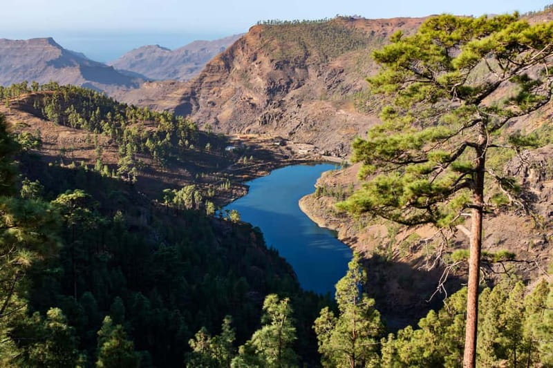 Gran Canaria: Island Highlights Tour with Optional Lunch - Island Highlights Tour, the parts you’ll remember