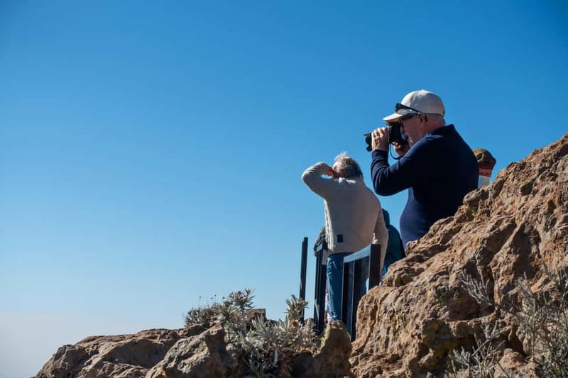 Gran Canaria: Island Highlights Tour with Optional Lunch - Key highlights worth marking in your day
