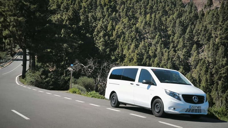 Gran Canaria: Island Highlights Tour with Optional Lunch - Pickup in Maspalomas, then Aloe Vera Finca Canarias to set the tone