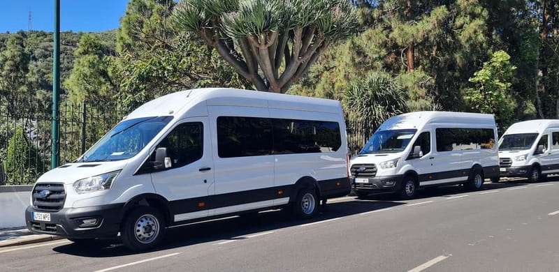 Gran Canaria: Island Highlights Tour with Optional Lunch - Bandama Crater: the volcanic viewpoint stop that pays off
