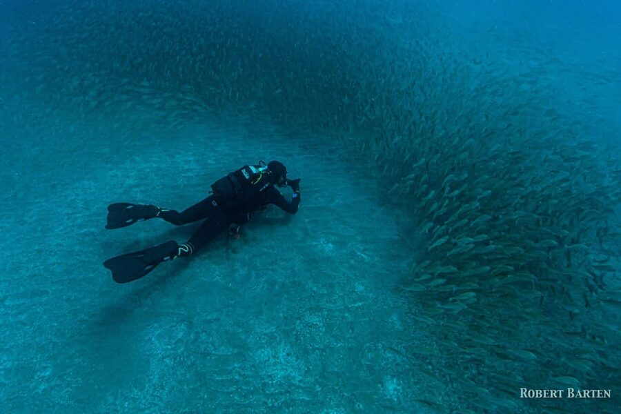 Gran Canaria:Live an Adventure and Learn to Dive with Expert - How the Water Time Works, From the Shore to Around 6 Meters