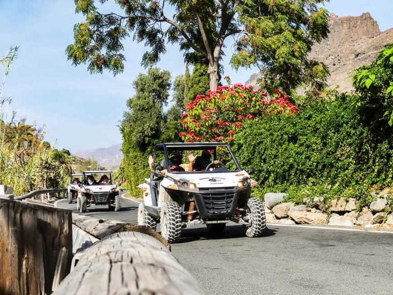Gran Canaria: Off-Road Buggy Adventure in the Canyons - Who should book this buggy adventure in Gran Canaria