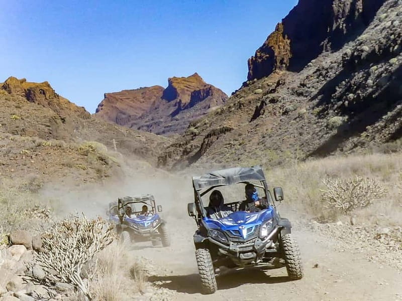 Gran Canaria: Off-Road Buggy Adventure in the Canyons - Why the crew matters: Sebastian, Speedy, and safety that doesn’t kill the fun