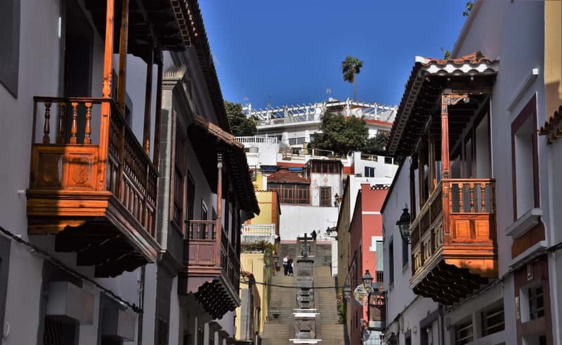 Gran Canaria Peaks: Firgas, Teror, Aloe Vera tour - Aloe Vera Fataga: what a guided plantation visit really means