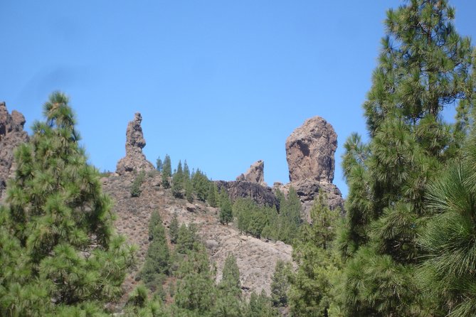 Gran Canaria Peaks Full-Day Tour from Las Palmas - Price and logistics: is $62.89 a fair deal?