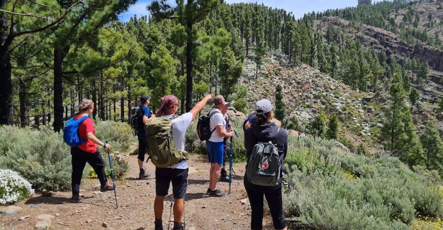 Gran Canaria: "Peaks of Gran Canaria" Hiking Tour - Key Highlights Before You Go