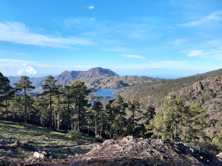 Gran Canaria: "Peaks of Gran Canaria" Hiking Tour - Pico de las Nieves, Roque Nublo, and the Teide Bonus on Clear Days
