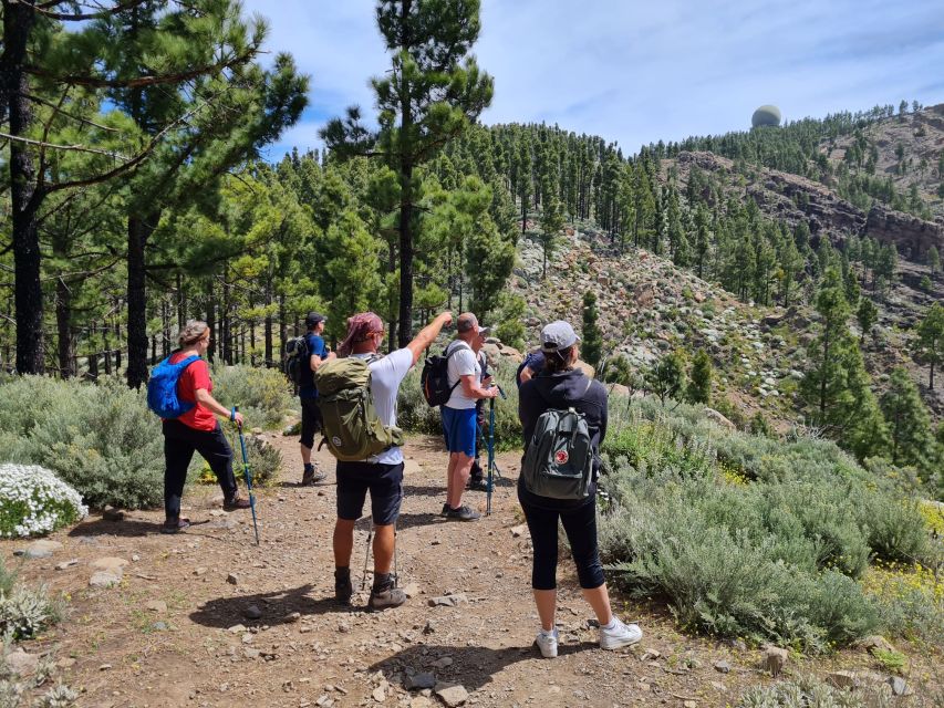 Gran Canaria: "Peaks of Gran Canaria" Hiking Tour - The Trek Distance and Ascent: 7 km or 10 km, With Clear Clues on Difficulty