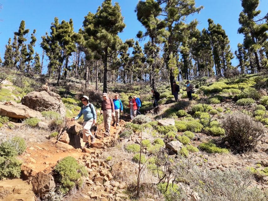 Gran Canaria: "Peaks of Gran Canaria" Hiking Tour - What to Bring for Real Mountain Conditions (Not Just Sunny Photos)