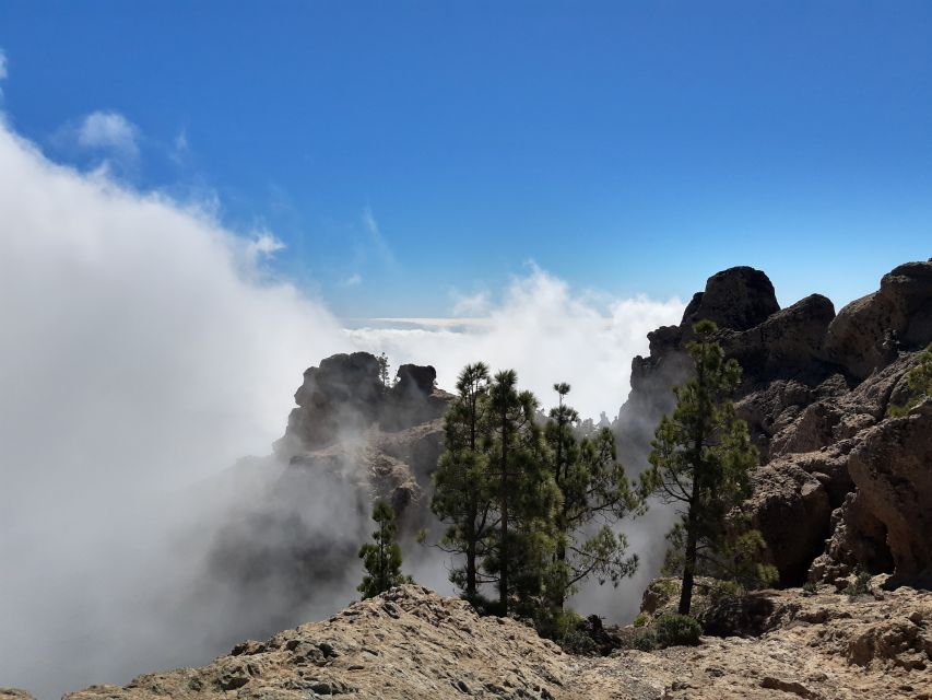 Gran Canaria: "Peaks of Gran Canaria" Hiking Tour - Who This Tour Fits Best, and Who Might Feel It More