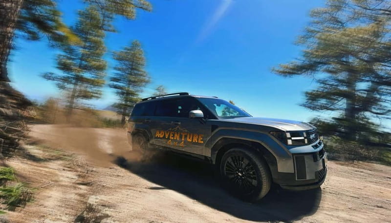 Gran Canaria: Premium Safari 4x4 Tour with Local Guide - Why Gran Canaria’s inland side is the big draw here