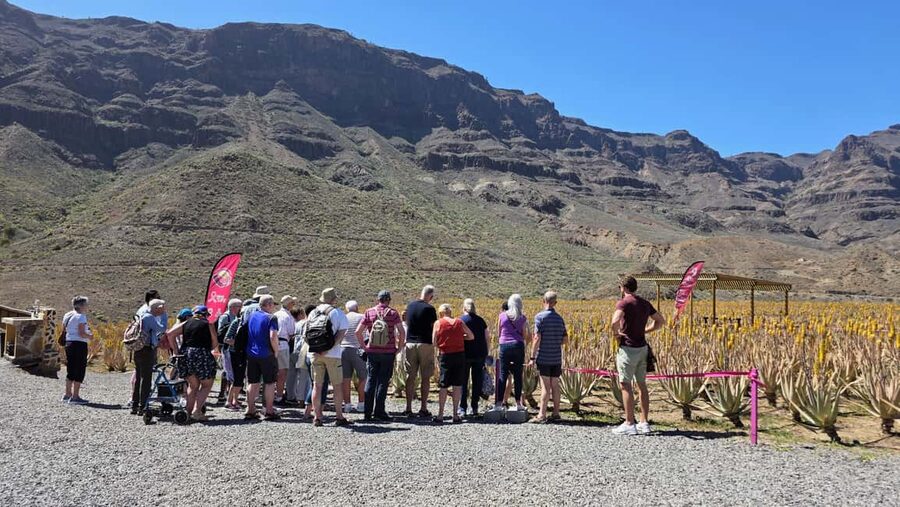 Gran Canaria: Premium Safari 4x4 Tour with Local Guide - Off-road driving: thrill, yes, but go in knowing it is not a smooth ride