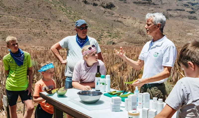 Gran Canaria: Premium Safari 4x4 Tour with Local Guide - Eco-luxury with a lighter footprint: what that means in practice