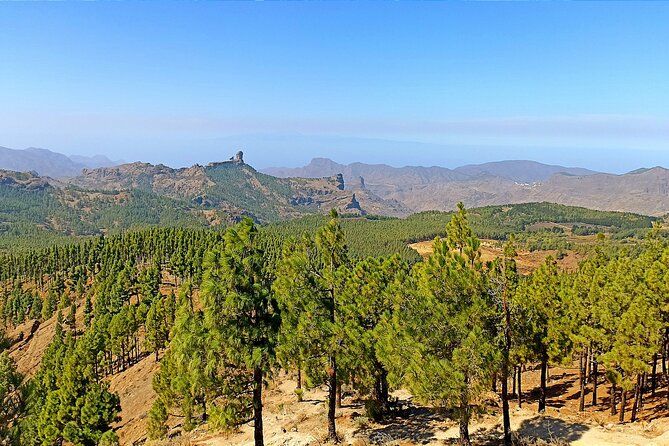 Gran Canaria Premium Tour: Volcanoes and Wine for cruisers - Santa Brígida break: a real town stop, not a time-killer
