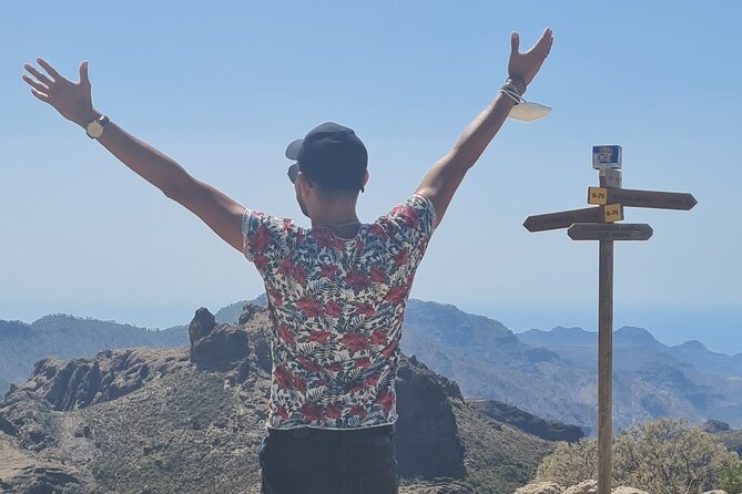 Gran Canaria Premium Tour: Volcanoes and Wine for cruisers - What you get for the $270.64 price