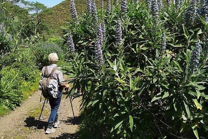 Gran Canaria private walks - Price and time: what you are buying with $252.86 per person