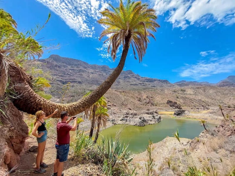 Gran Canaria: Red Gorge, Cave, Oasis Adventure Tour & Picnic - Key moments that make this tour worth your time