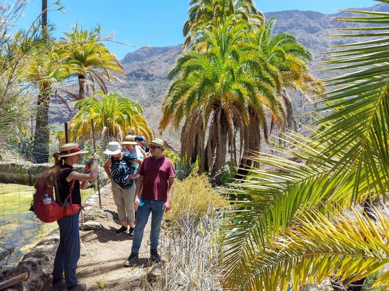 Gran Canaria: Red Gorge, Cave, Oasis Adventure Tour & Picnic - Aboriginal caves and rocky paths: the adventure section
