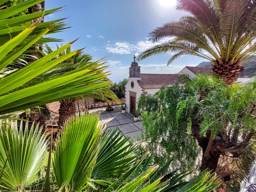 Gran Canaria: Red Gorge, Cave, Oasis Adventure Tour & Picnic - The palm oasis and water-agriculture lesson for better island photos