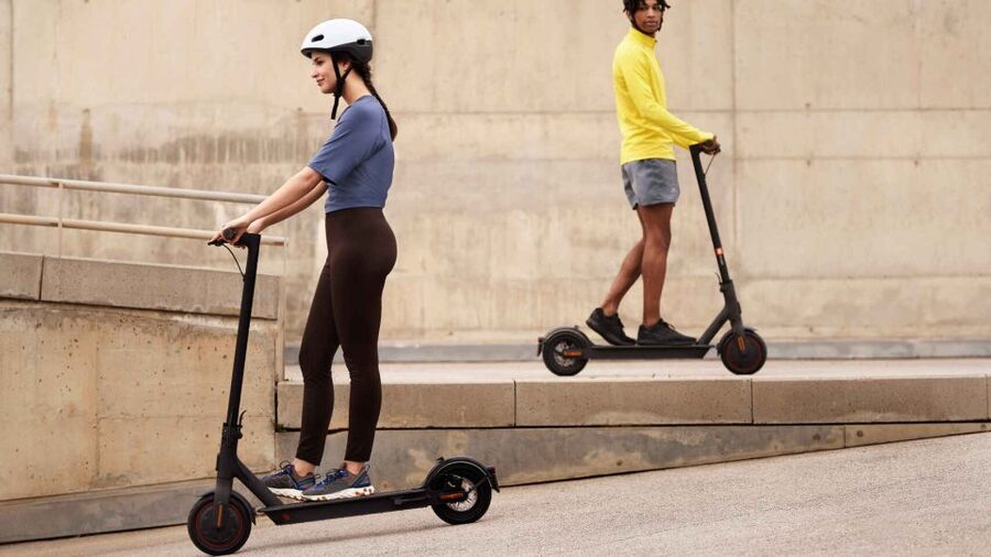 Gran Canaria: Rent Electric Scooter Kick Start - Botanical Park and the Oasis lagoon: calmer stops that reward slow walking