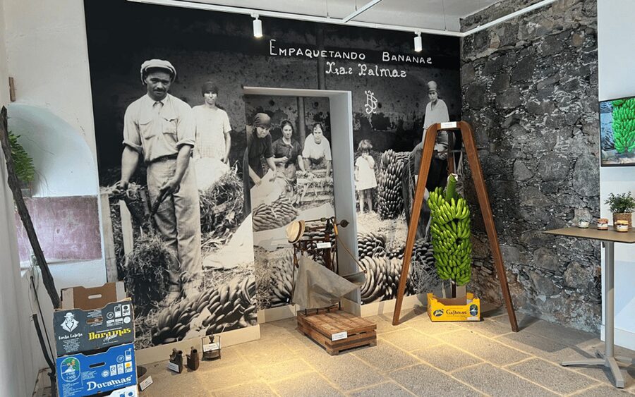 Gran Canaria: Rum, Wines and Banana Tour - Price and Value: $81 for a Full-Day Tasting Bundle