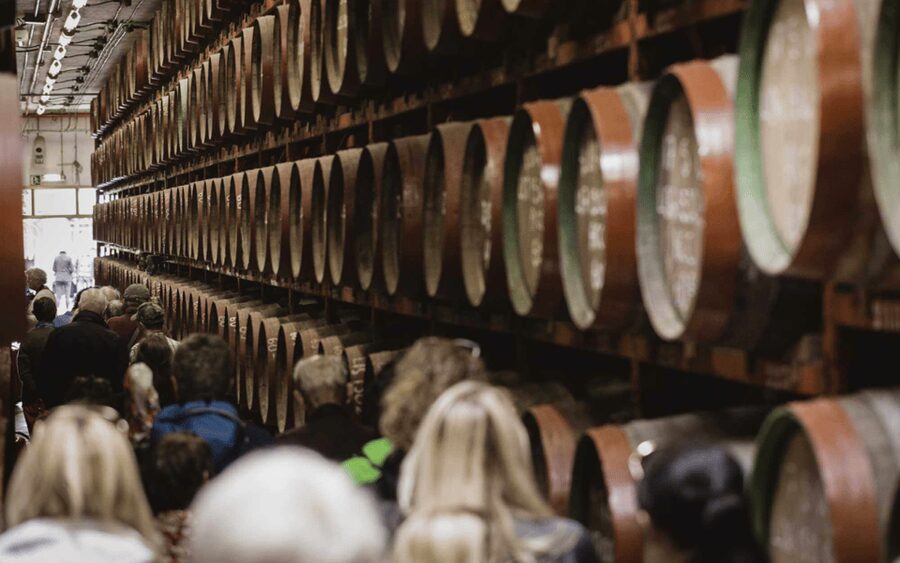 Gran Canaria: Rum, Wines and Banana Tour - Accessibility, Who Should Book, and Who Might Skip