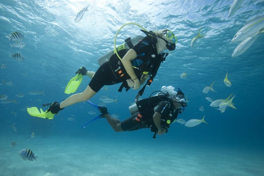 Gran Canaria: Scuba Diving for Beginners - Puerto Escala Harbour Start: Blue Water Diving and Your First Steps Into Scuba