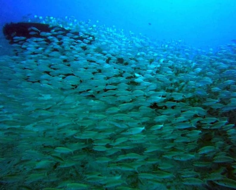 Gran Canaria: Scuba Diving for Beginners - FAQ