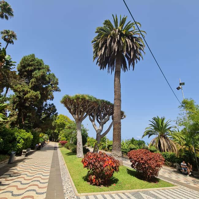 Gran Canaria Shore Excursion Rum Tasting & Scenic Villages - A guide like Israel makes the architecture click