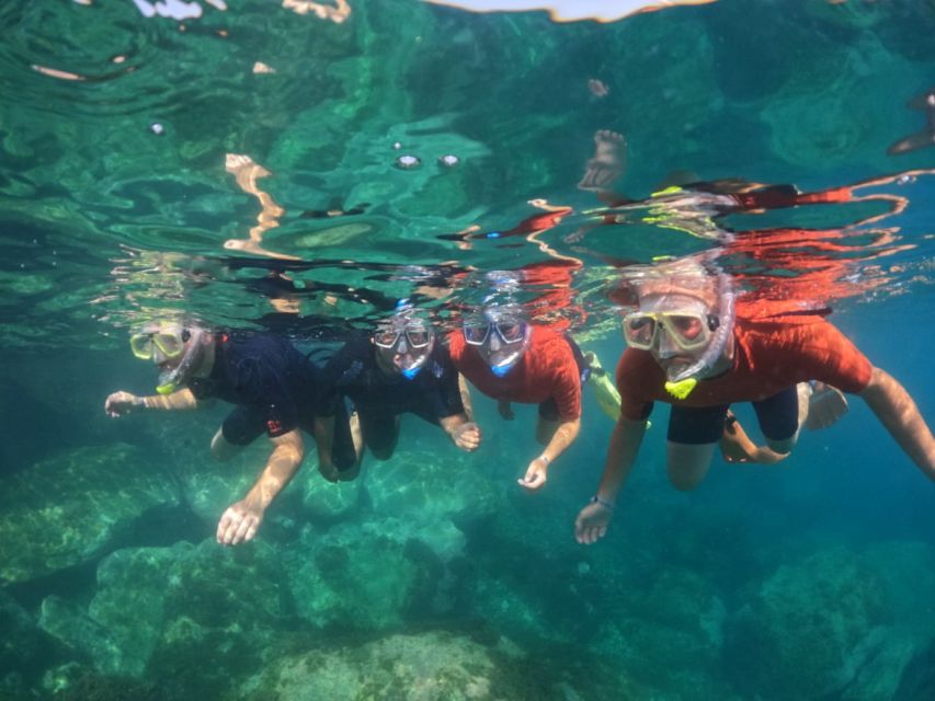 Gran Canaria: Snorkel tour with boat on the west coast - Key things to know before you go