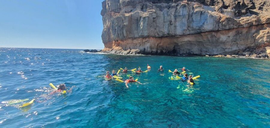 Gran Canaria: Snorkel tour with boat on the west coast - Price and value: is $81 worth it for Gran Canaria snorkeling?