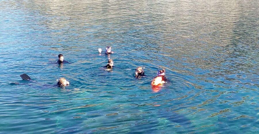 Gran Canaria: Snorkeling Trip - Key highlights at a glance