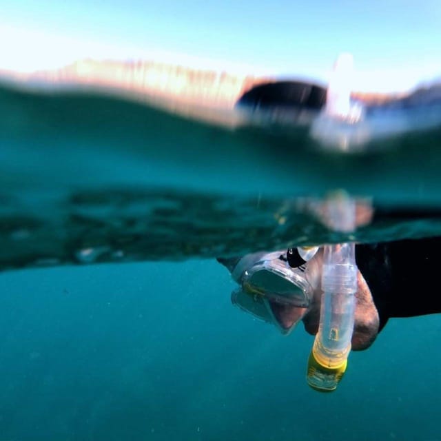 Gran Canaria: Snorkeling Trip - Two hours of guided Gran Canaria snorkeling in Puerto Rico de Gran Canaria