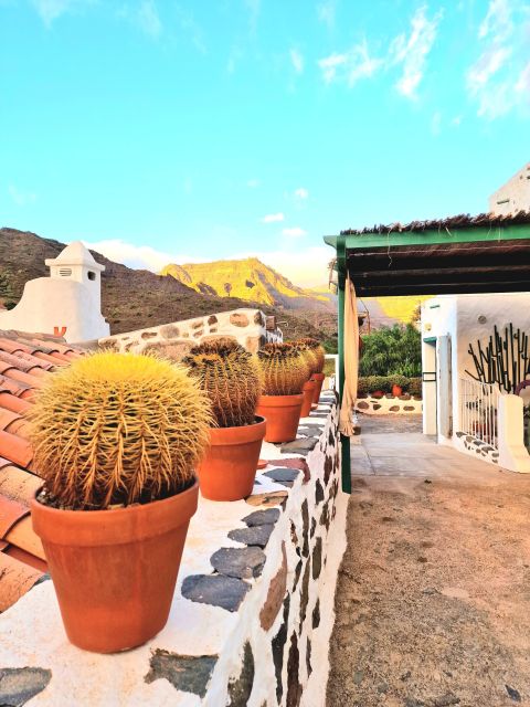 Gran Canaria: Spanish Tapas and Wine Tasting Tour in Mogan - What the Pairing Teaches You (Even If You Are Not a Wine Expert)