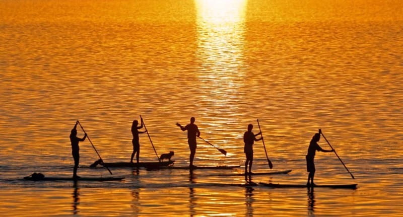 Gran Canaria: Stand-Up Paddle Lesson & Snorkeling Tour - What to bring, what to wear, and what to expect physically