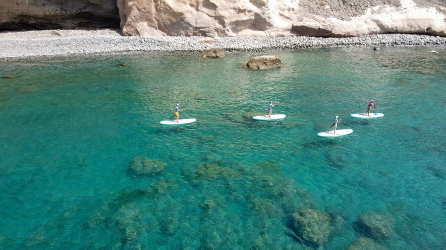 Gran Canaria : Stand Up Paddle (SUP) Tour - Price and what you get for $58