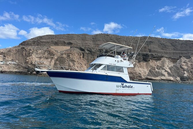 Gran Canaria Sunset Dolphin Watching Activity - What’s included on board, and why it’s more than just snacks